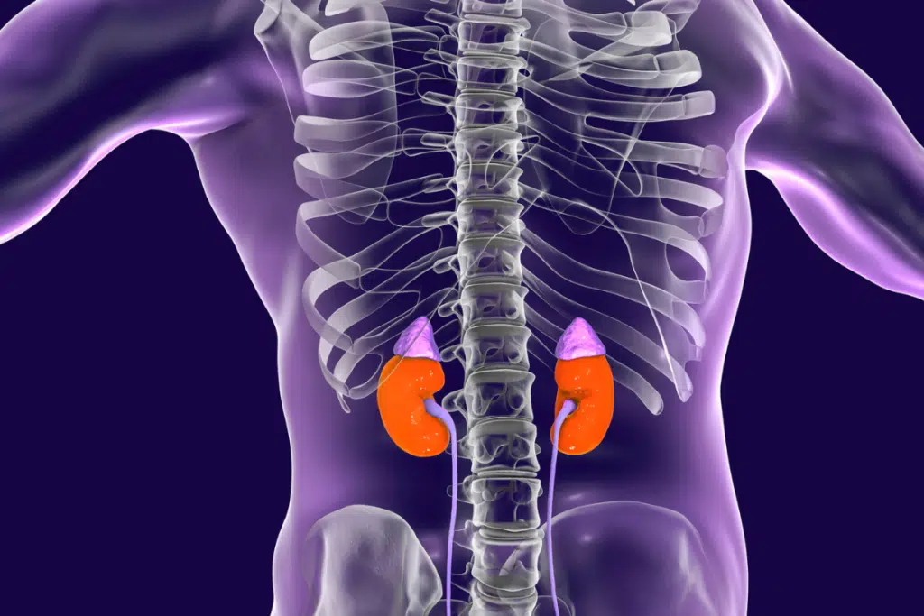 σακχαρωδης διαβητης καρκινος επινεφριδιων