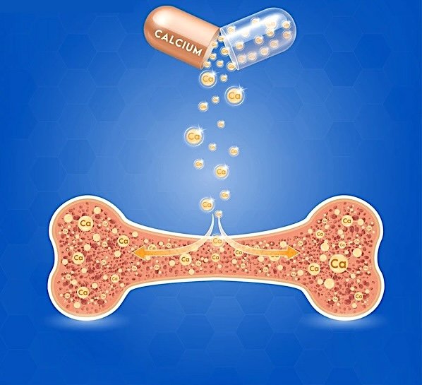 ασβέστιο στα οστά