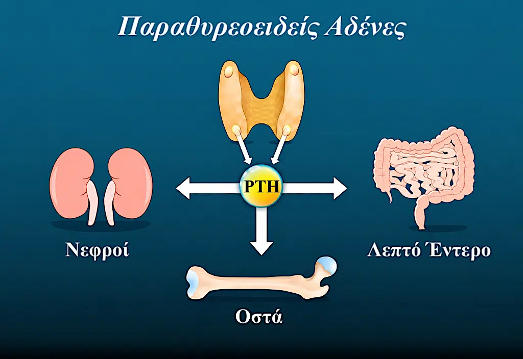 χαμηλό ασβέστιο μετά θυρεοειδεκτομή